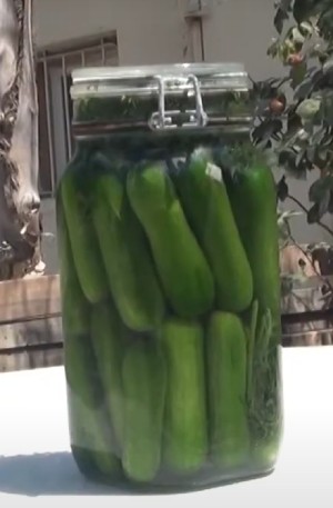 חמוצים ומיונז טבעוני